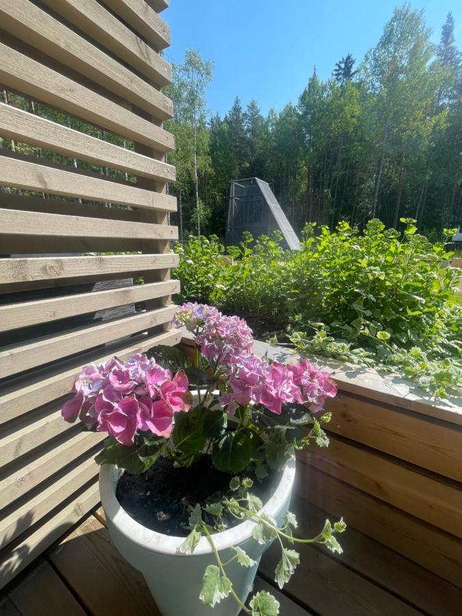 Haalia Homes Turku Paeaeskynpesae Eksteriør billede